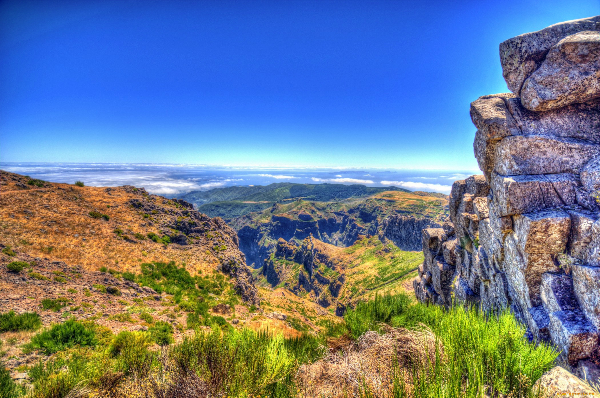 , madeira, , , , , , , , 